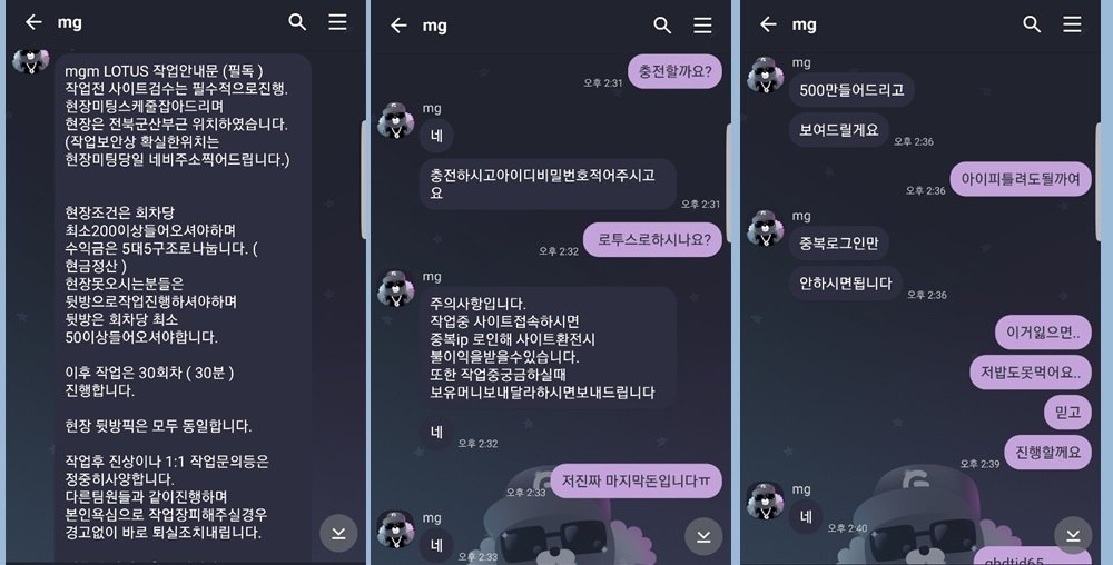 사다리 유출픽