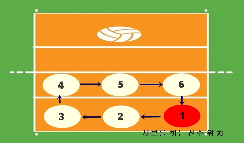 배구 포지션