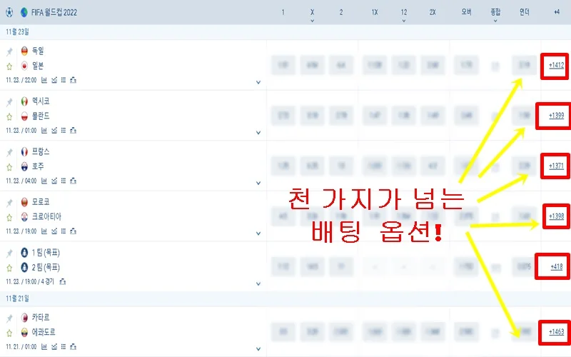 월드컵 배당 비교 및 사이트 추천